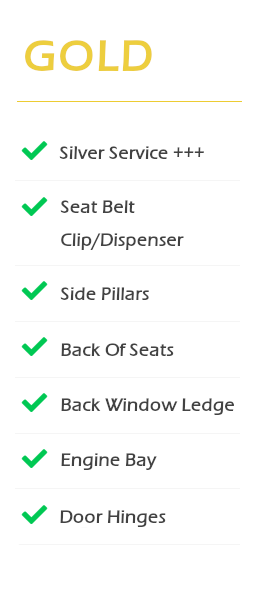 Gold Package Diablo Detailing