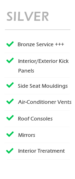 Silver Package Diablo Detailing